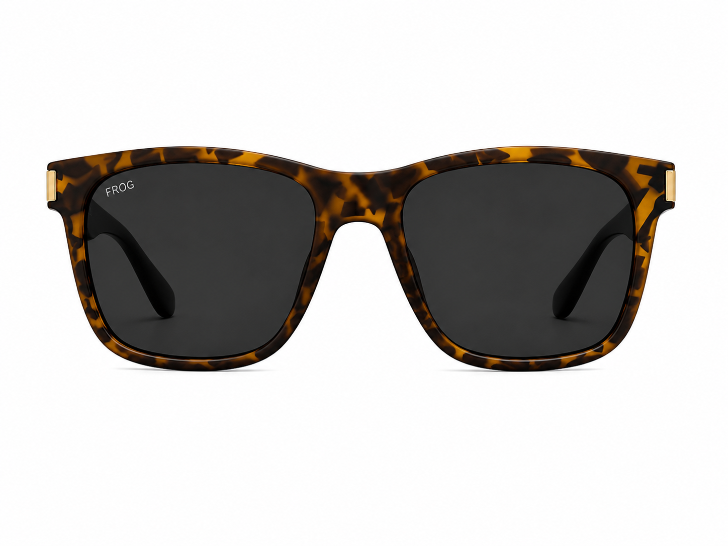 SS 8 - Image 2